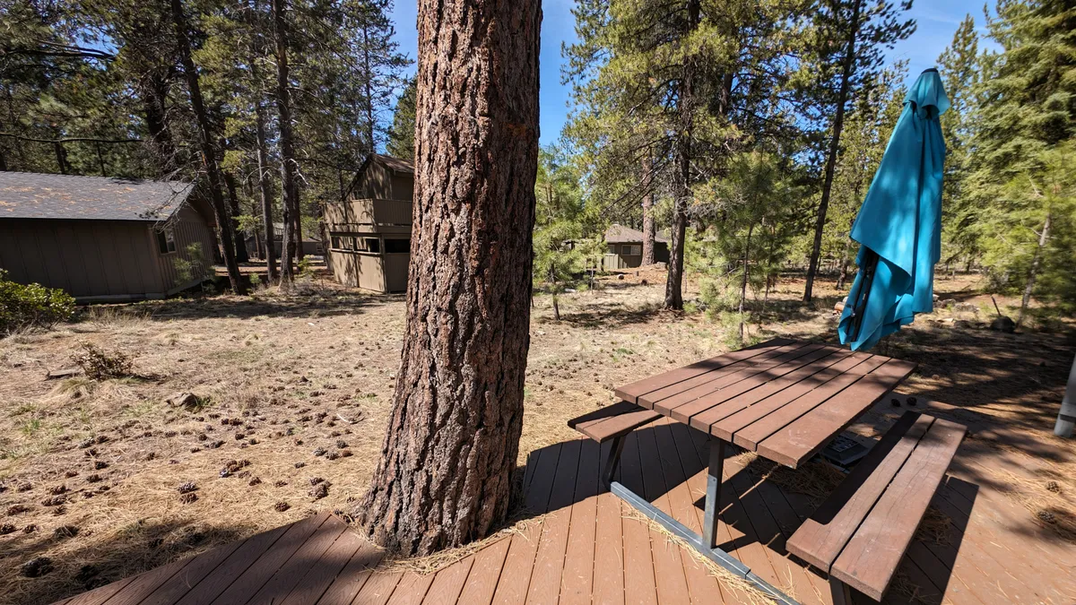A spacious outdoor area beneath towering pine trees, featuring a wooden picnic table under a blue umbrella. The surrounding forest creates a tranquil backdrop, ideal for picnicking, family meals, or socializing after a day of recreation. The scene reflects an atmosphere of relaxation and togetherness in nature.